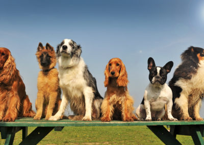 Az a sok szőr mindenütt…